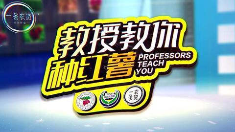 地瓜爆料视频大全最新,揭秘娱乐圈幕后真相